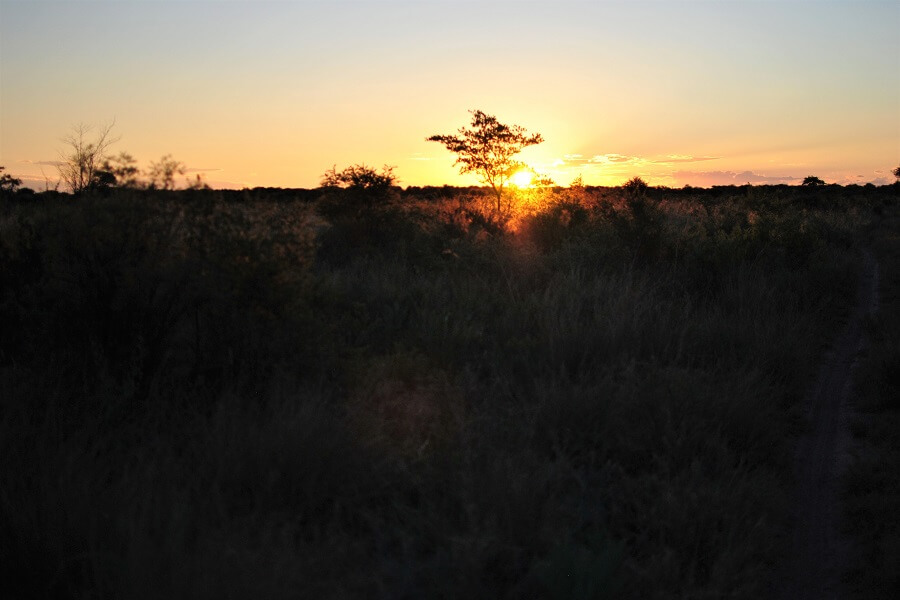 Namibia - Elephant Song Camp at sunset