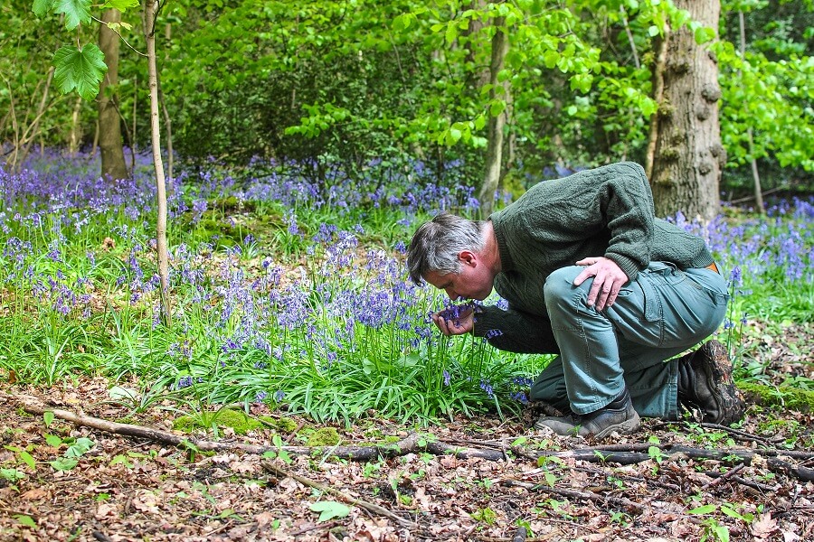 Smelling the the bluebells