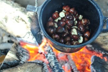 Sweet chestnuts pan roasting